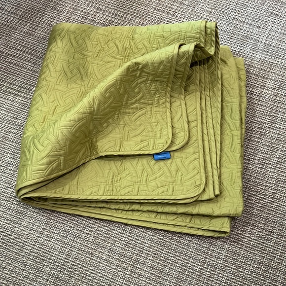 Simply Vera Wang comforter and 2 euro shams in Citrine Green - Picture 3 of 10